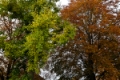 Date: Tuesday, November 01, 2011 
