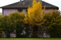 Date: Tuesday, November 01, 2011 