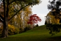 Date: Tuesday, November 01, 2011 