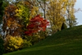 Date: Tuesday, November 01, 2011 