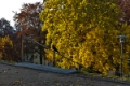 Date: Tuesday, November 01, 2011 
