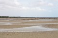 _MG_3054.jpg