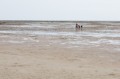 _MG_3074.jpg