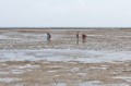 _MG_3076.jpg