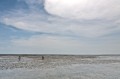 _MG_3082.jpg