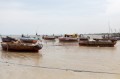 _MG_3106.jpg