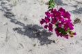 Date: Saturday, March 15, 2014 Focal length: 70.0 Shutter: 1/640 Aperture: F/7.1 ISO: 200 