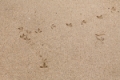 Date: Tuesday, July 21, 2009 