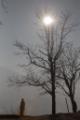 Video_MG_2986.jpg