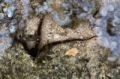Date: Saturday, March 29, 2014 Focal length: 64.0 Shutter: 1/125 Aperture: F/6.3 ISO: 400 