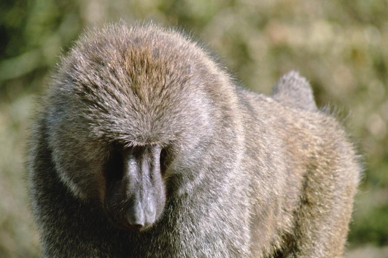 R7