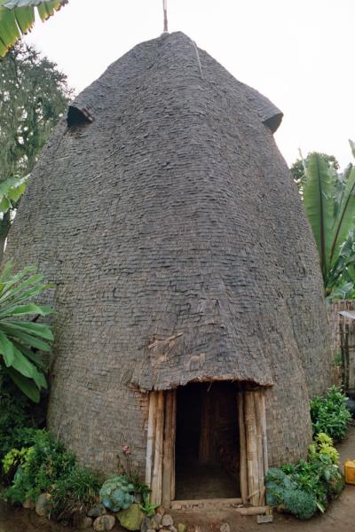 R91
