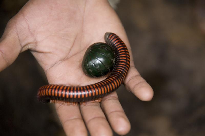R54