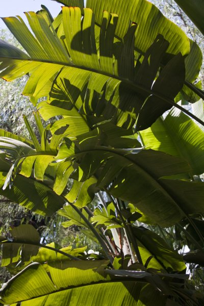 R51
