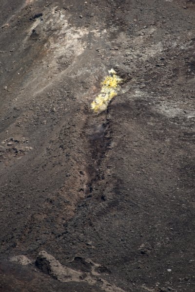 R74