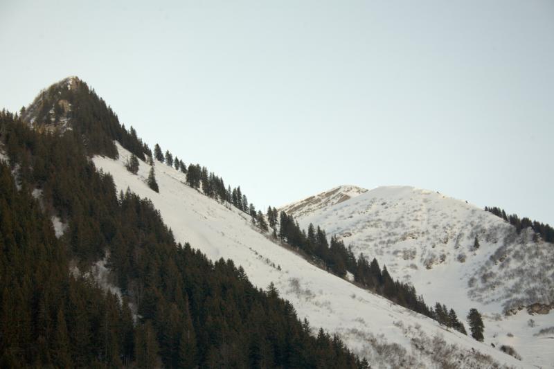 R1