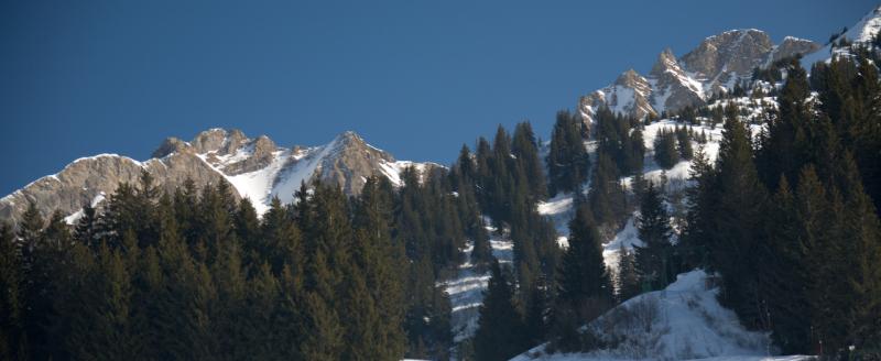 R22