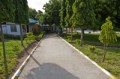 T3