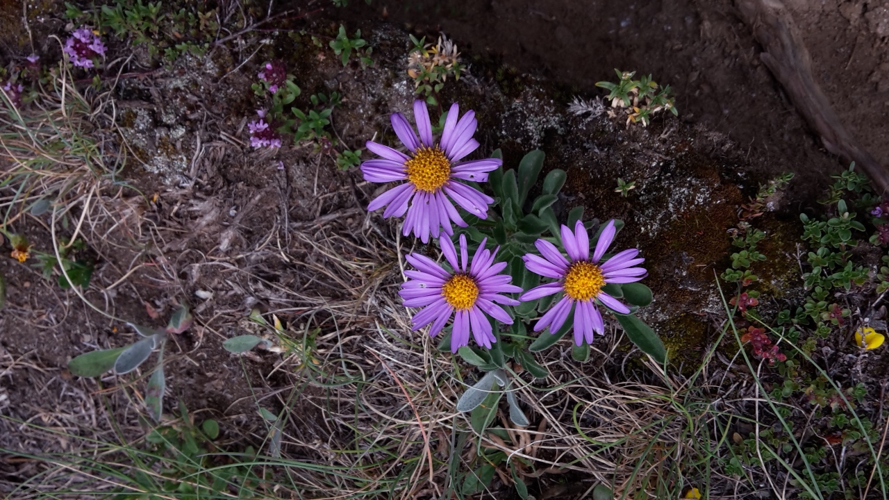 P89 125