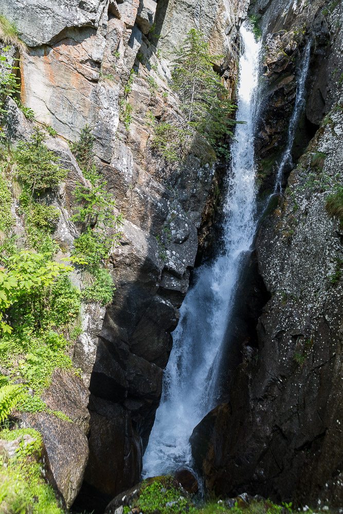 P95 019