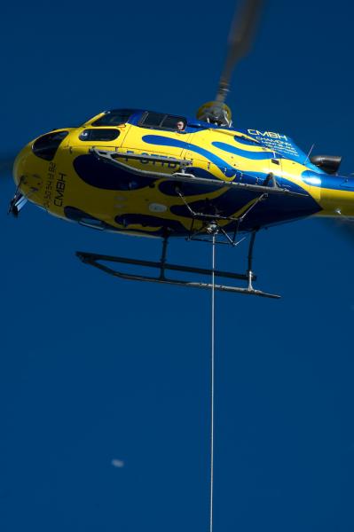R61