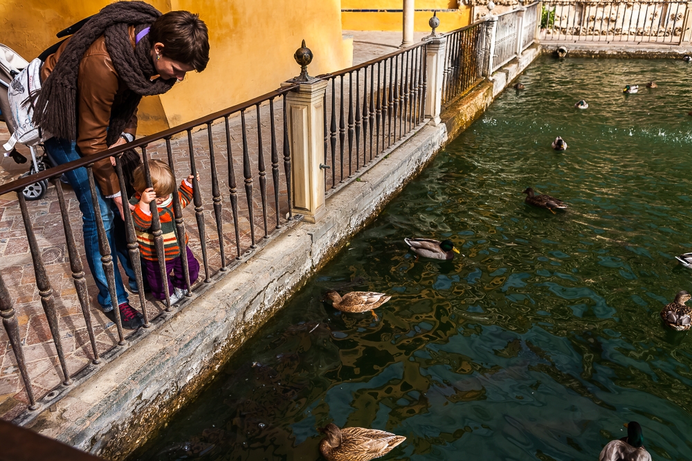 R431