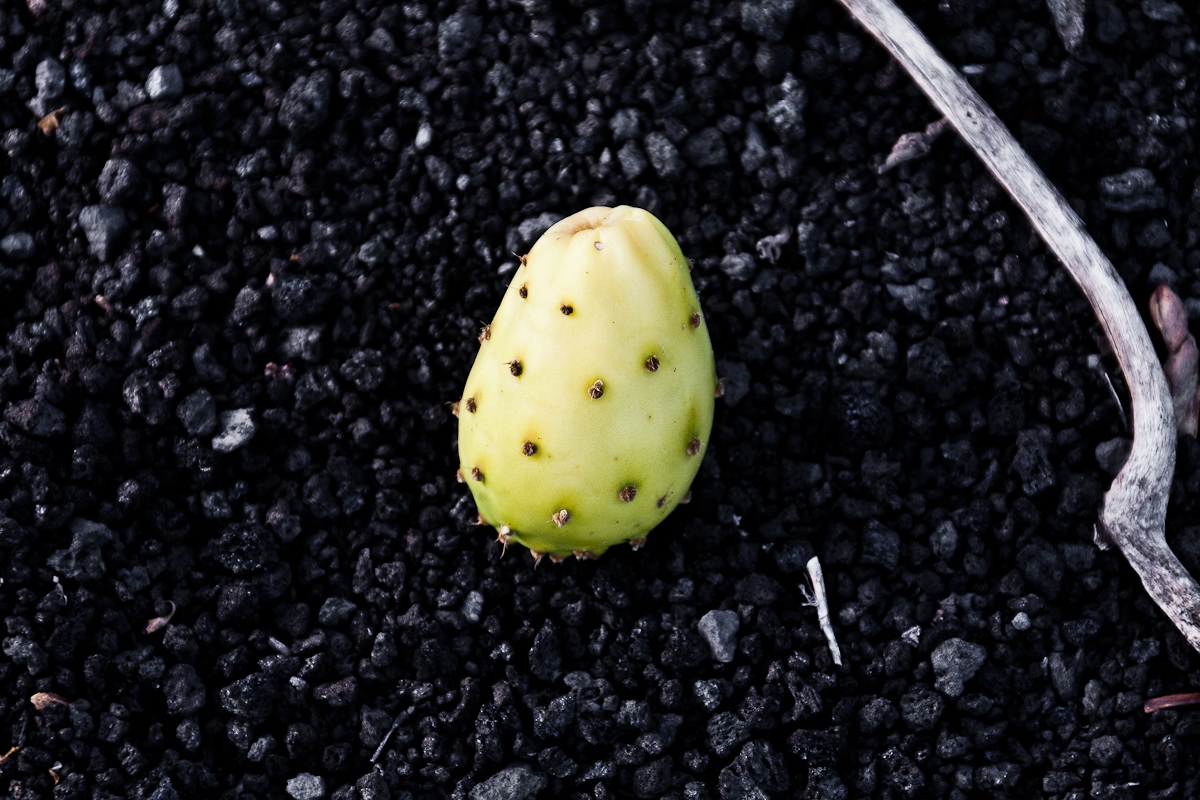 R495
