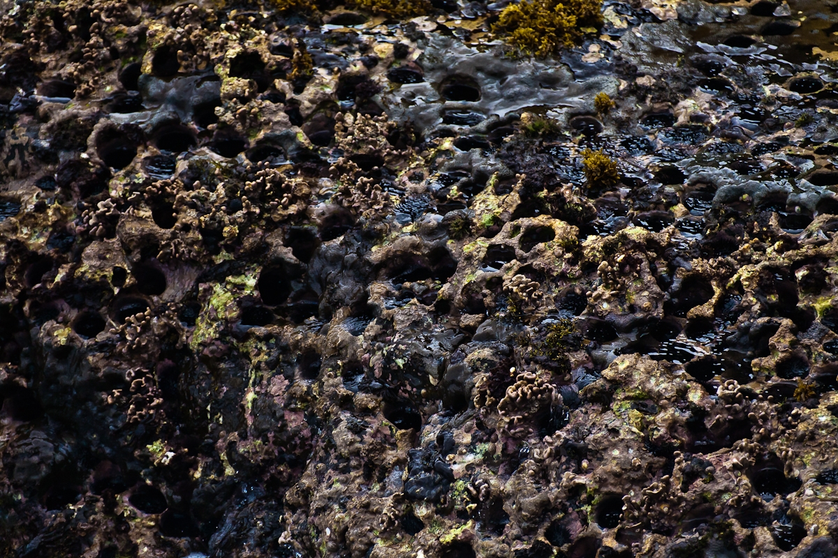 R596