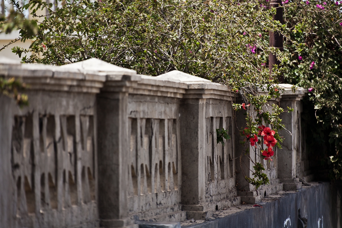 R454