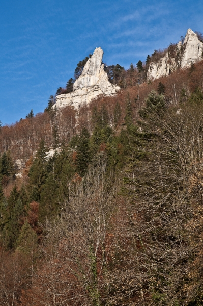 Jura2009