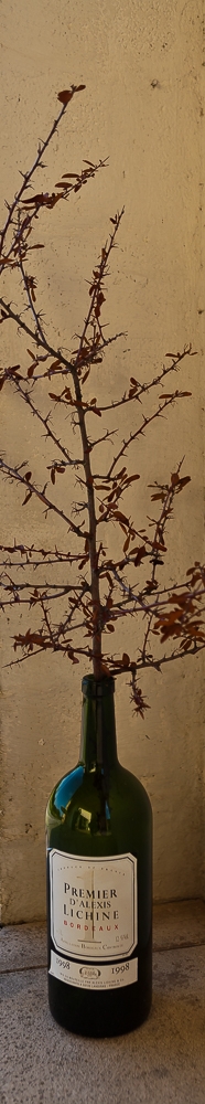 Pascua2009