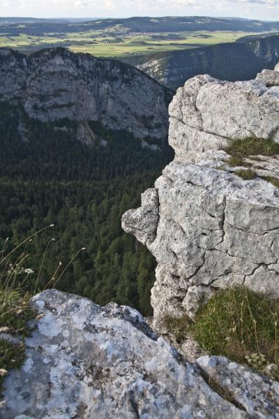 R93
