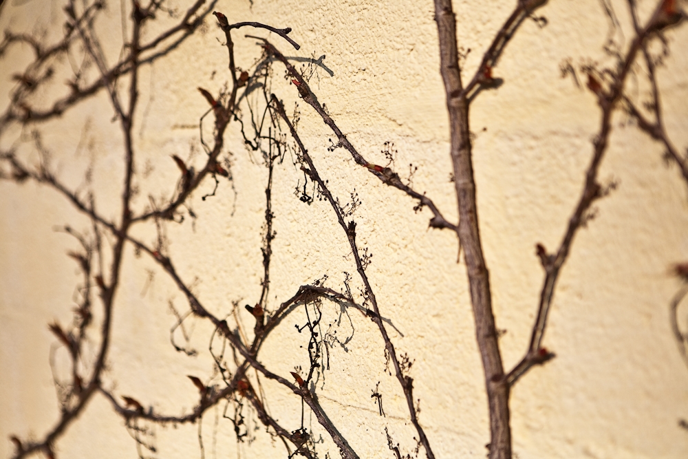 R134