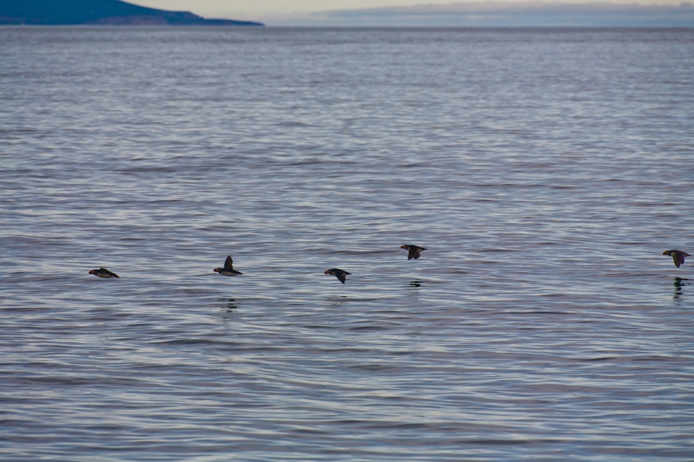 R353