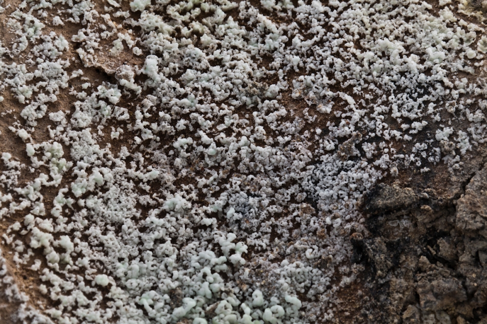 R405