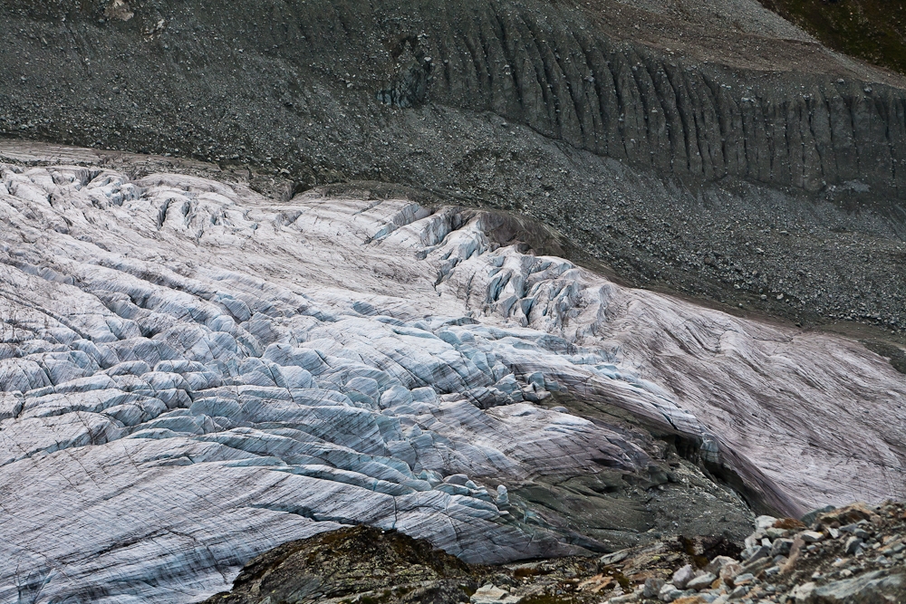R29