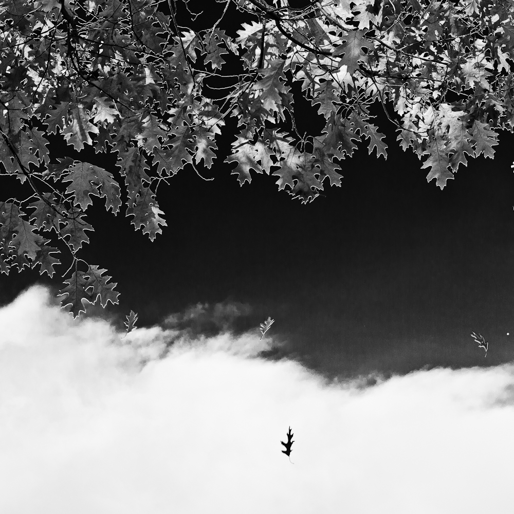 R67