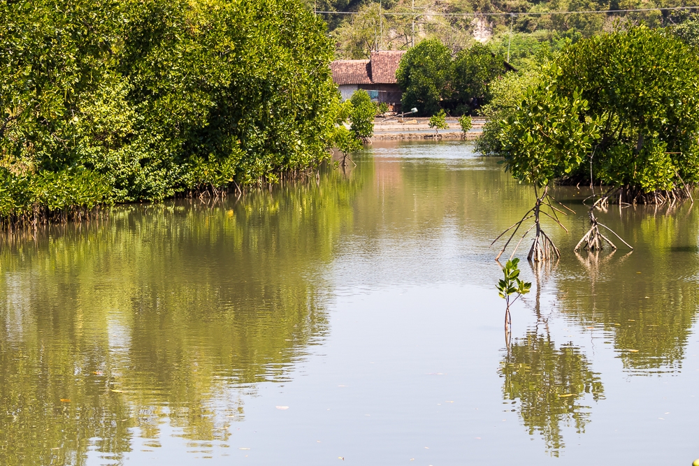 R522