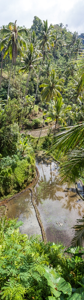 R680