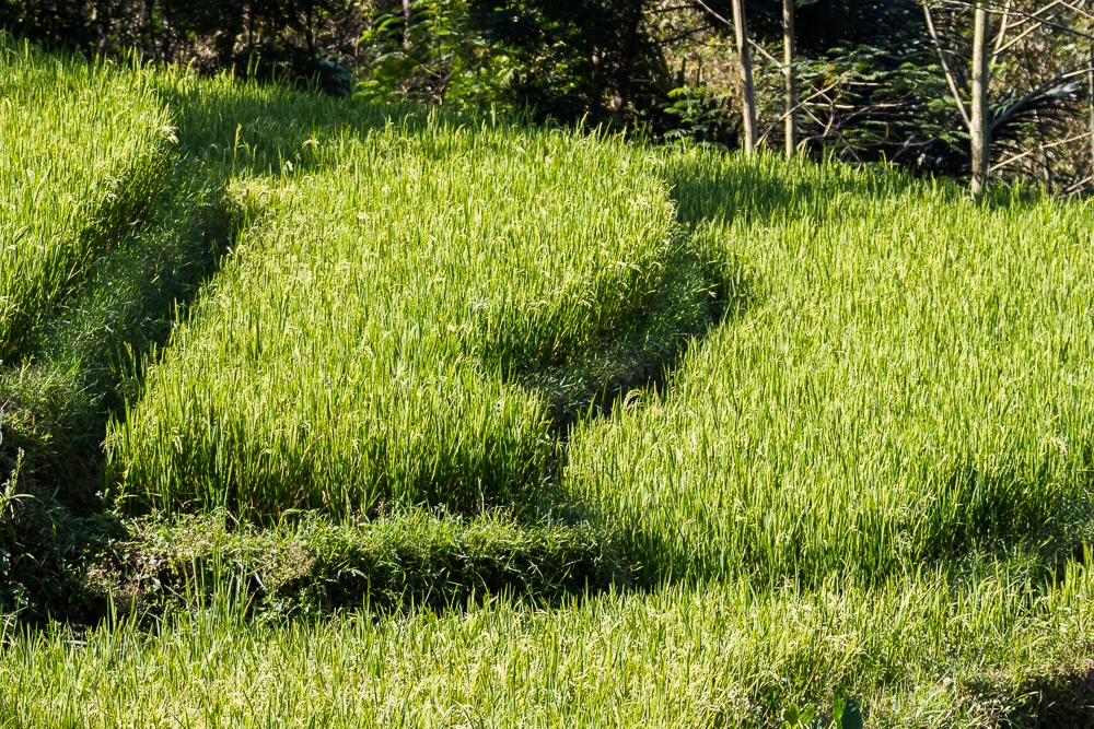 R309