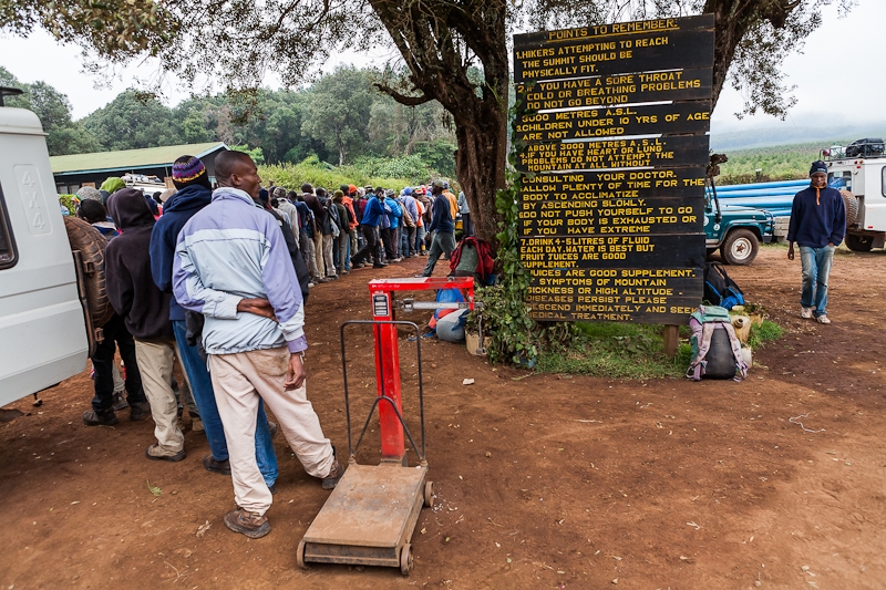 Kilimanjaro