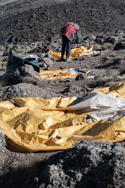 R256