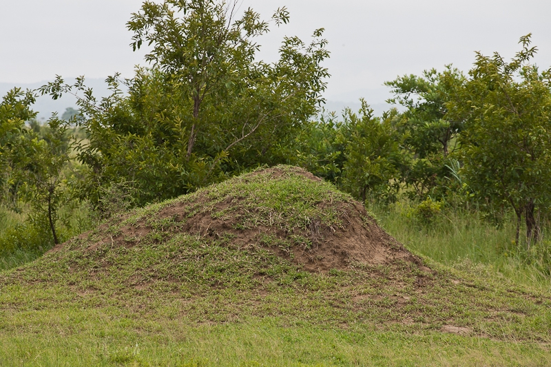 R137