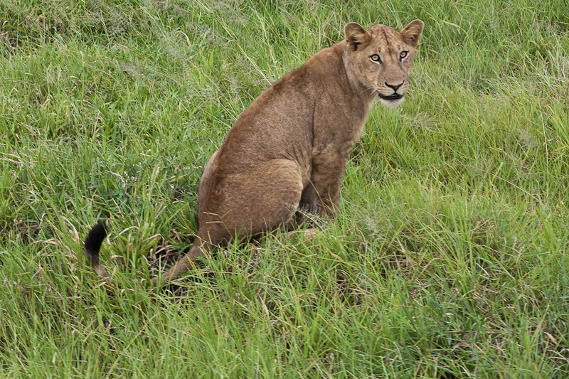 R140