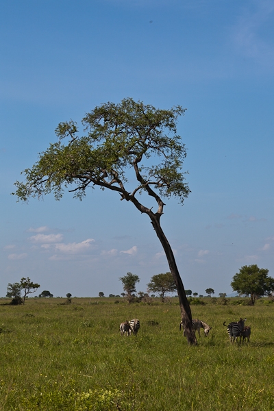 R164