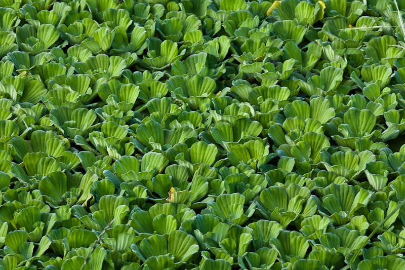 R58