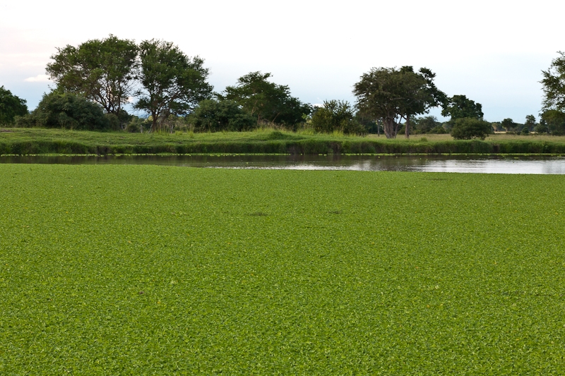 R59