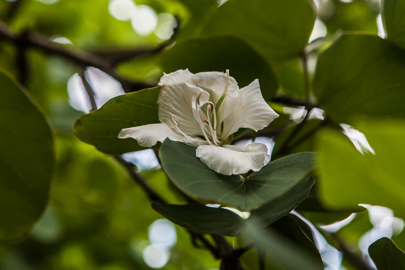 Photos7
