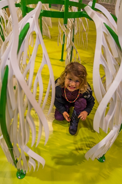 R34