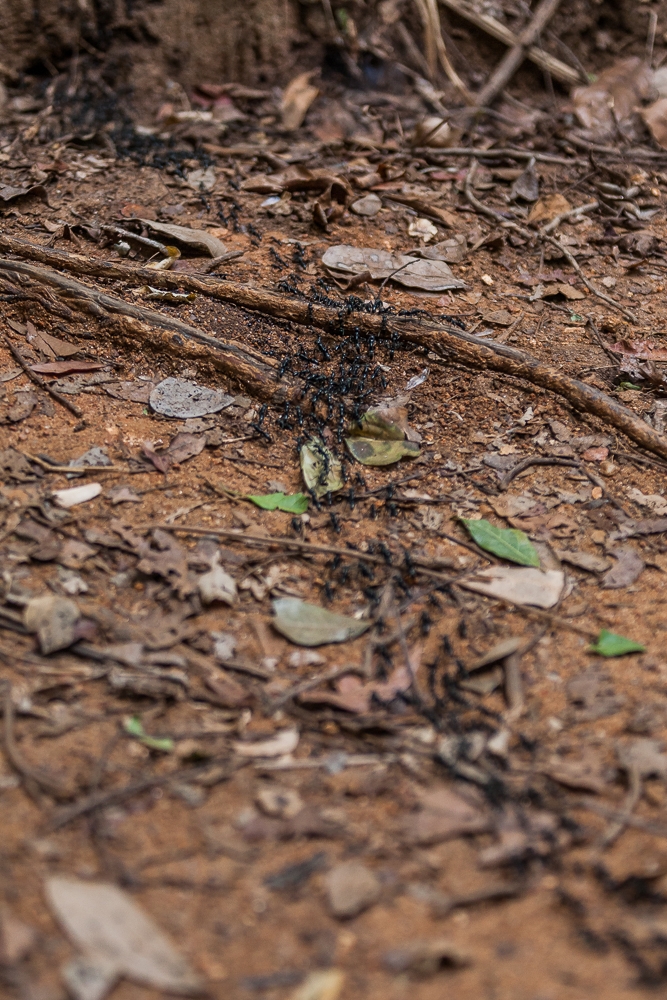 R15
